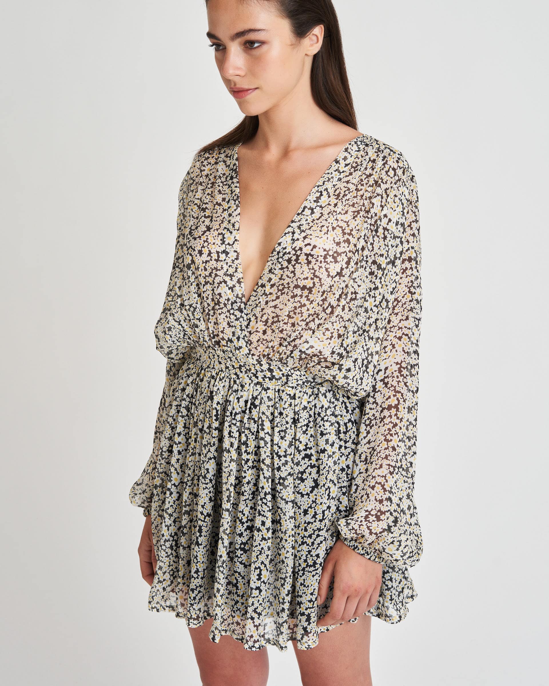 The Market Store | Silk Voile Printed Dress