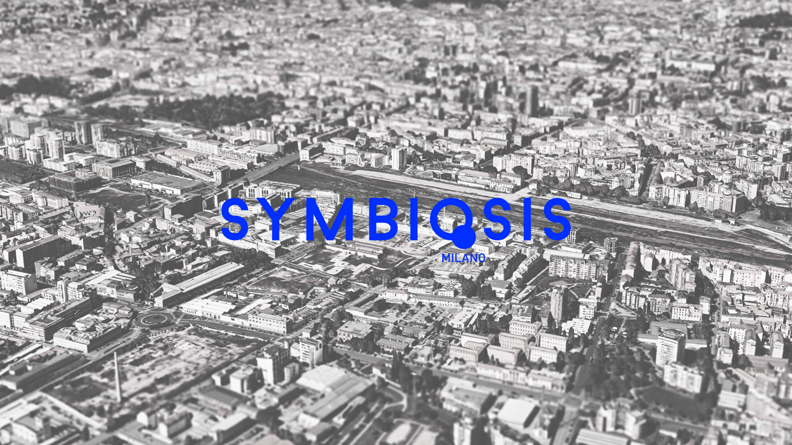 Realmore | Symbiosis